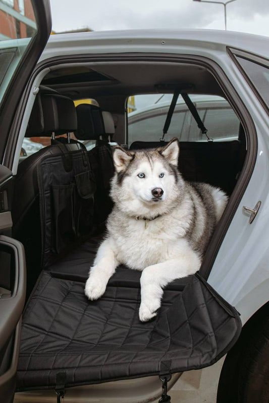 🚗🐶 HeyJune X Hard-Bottom Dog Car Hammock — Extra Large Seat Protector