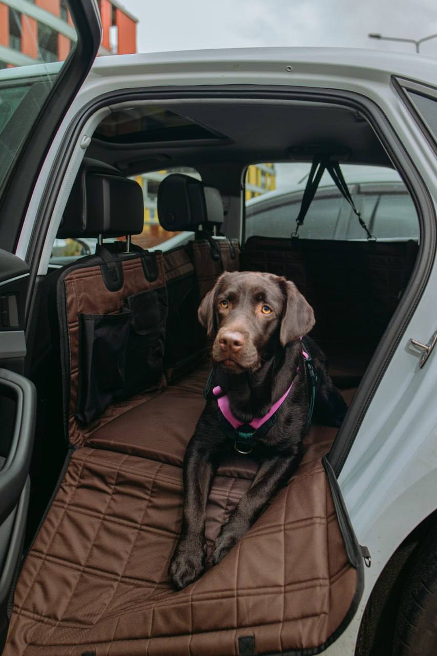🚗🐶 HeyJune X Hard-Bottom Dog Car Hammock — Extra Large Seat Protector