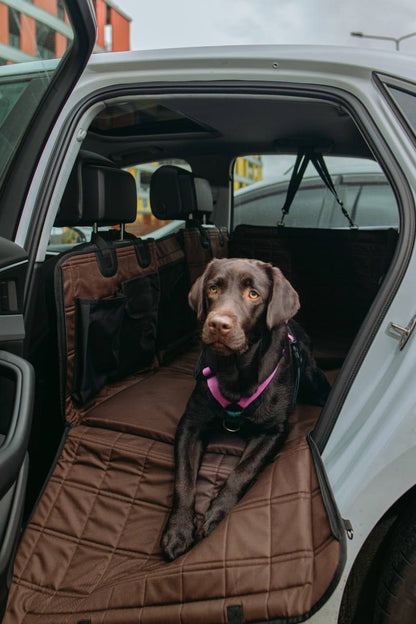 🚗🐶 HeyJune X Hard-Bottom Dog Car Hammock — Extra Large Seat Protector