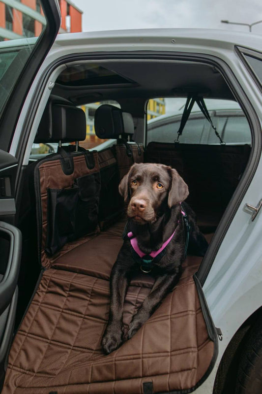 🚗🐶 HeyJune X Hard-Bottom Dog Car Hammock — Extra Large Seat Protector
