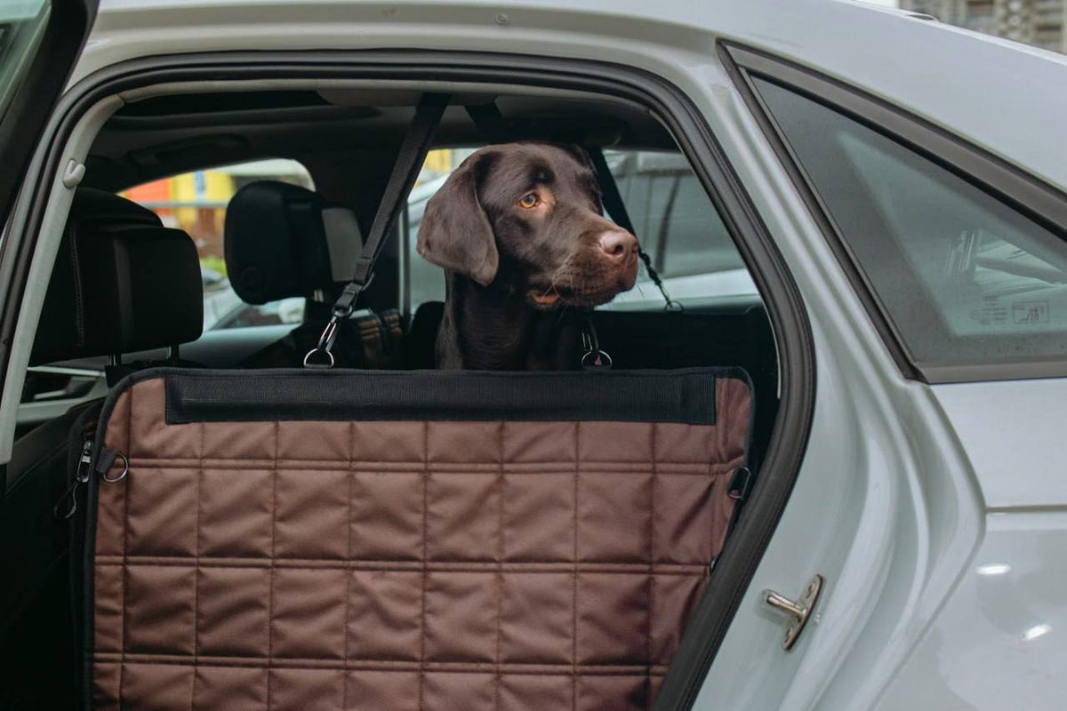 🚗🐶 HeyJune X Hard-Bottom Dog Car Hammock — Extra Large Seat Protector